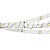 Лента RT 2-5000 24V White5500 1.6x (2835, 490 LED, PRO) 023934 Arlight